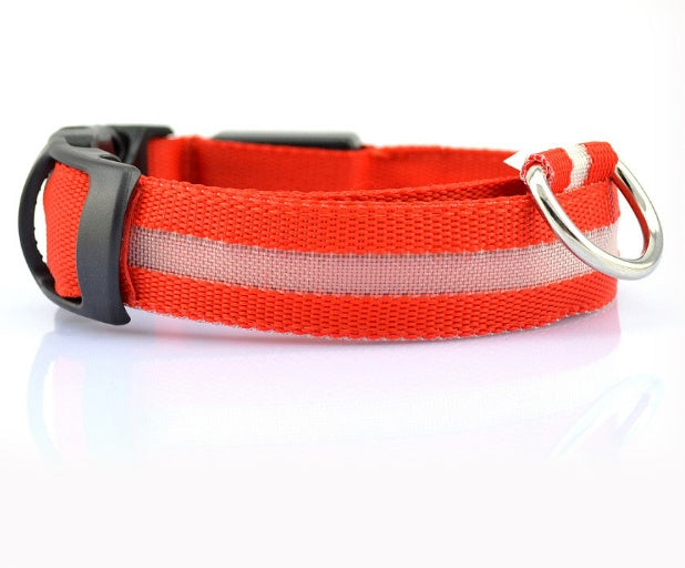 Wild-Life™: GlowDog LED Collar