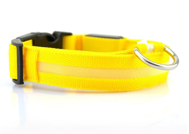 Wild-Life™: GlowDog LED Collar
