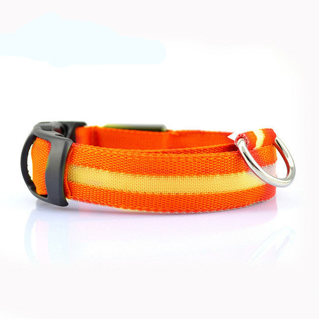 Wild-Life™: GlowDog LED Collar