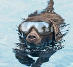 Wild-Life™: Dog Adventure Goggles