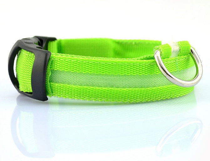 Wild-Life™: GlowDog LED Collar