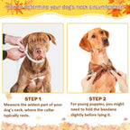 Wild-Life™: Fall Doggy Bandanas