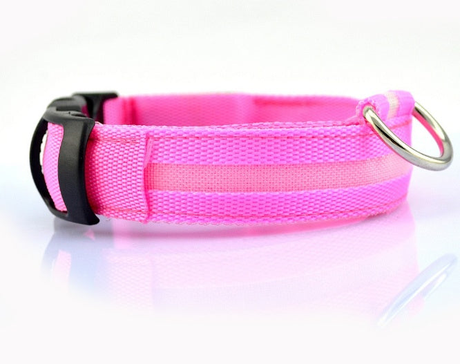 Wild-Life™: GlowDog LED Collar