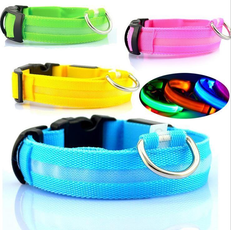 Wild-Life™: GlowDog LED Collar