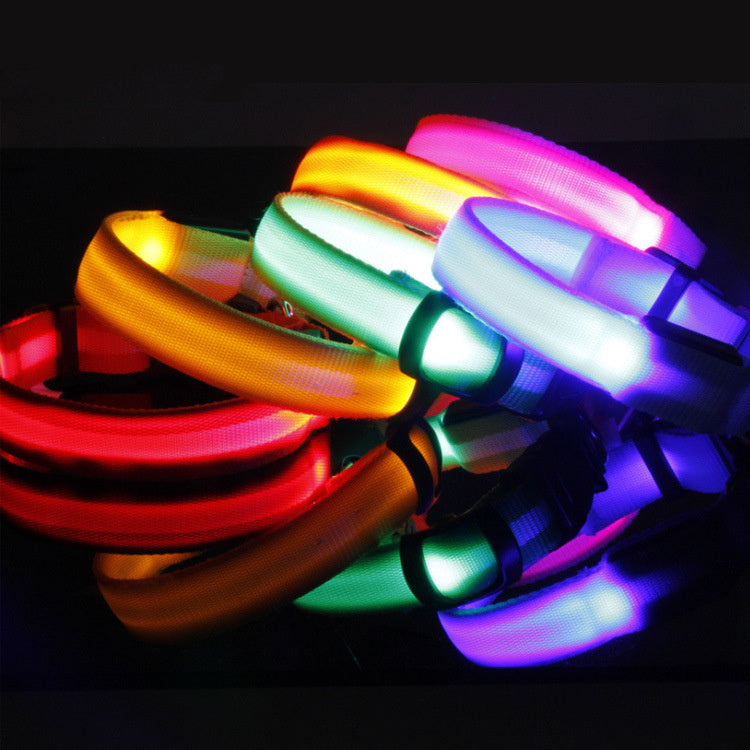 Wild-Life™: GlowDog LED Collar