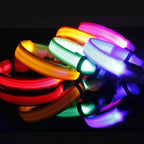 Wild-Life™: GlowDog LED Collar