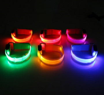 Wild-Life™: GlowDog LED Collar