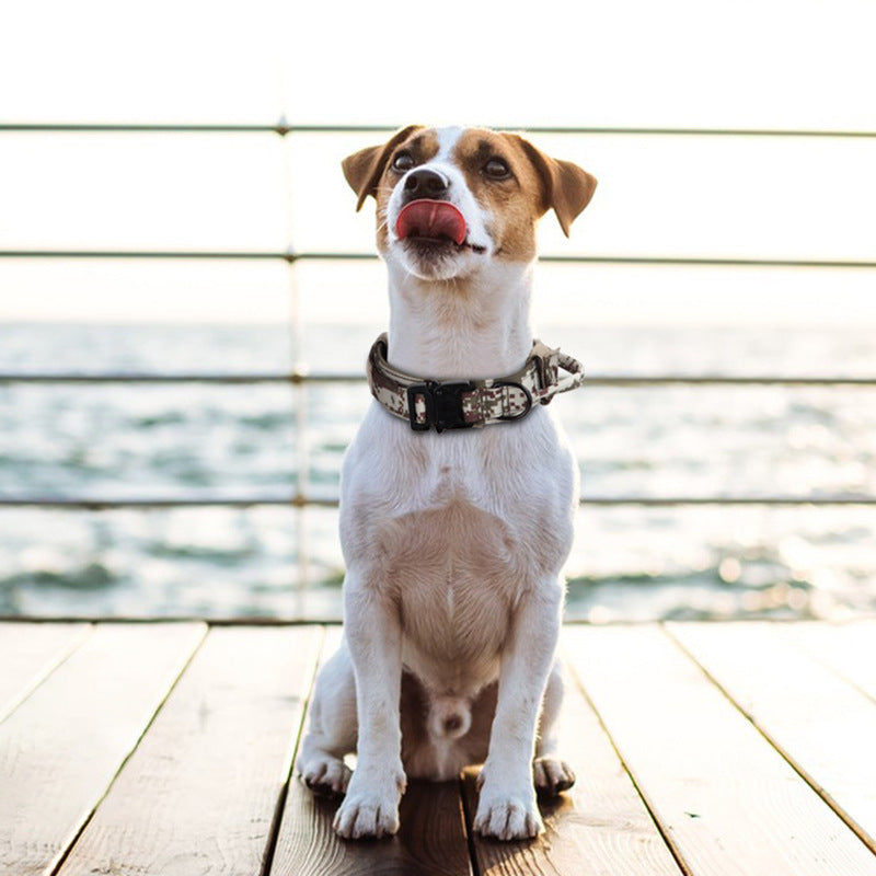 Wild-Life™: Trail Command Collar