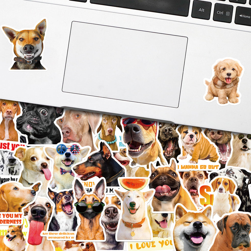 Wild-Life™: Silly Woofs Sticker Pack