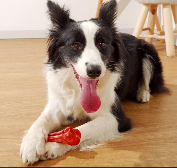 Wild-Life™: Nylon Chew Bone